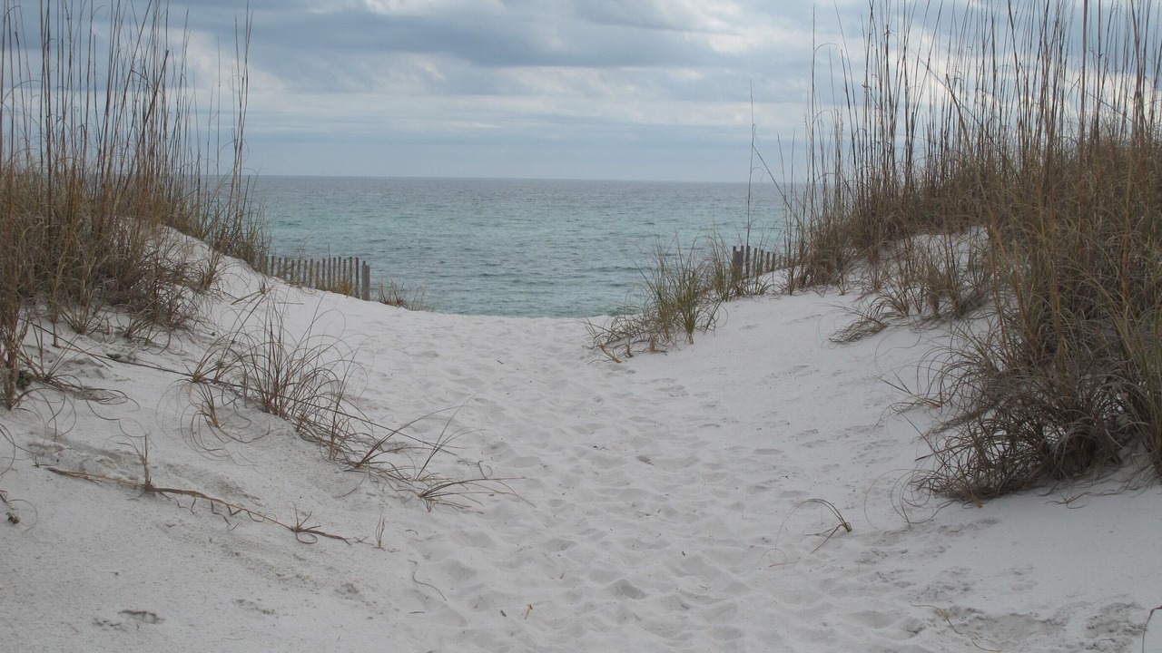 Photo of Others in Pensacola Beach