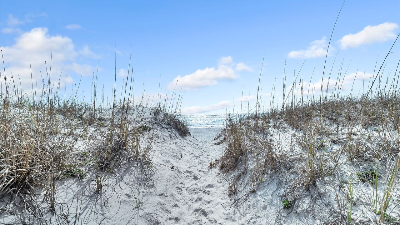Photo of Others in Pensacola Beach
