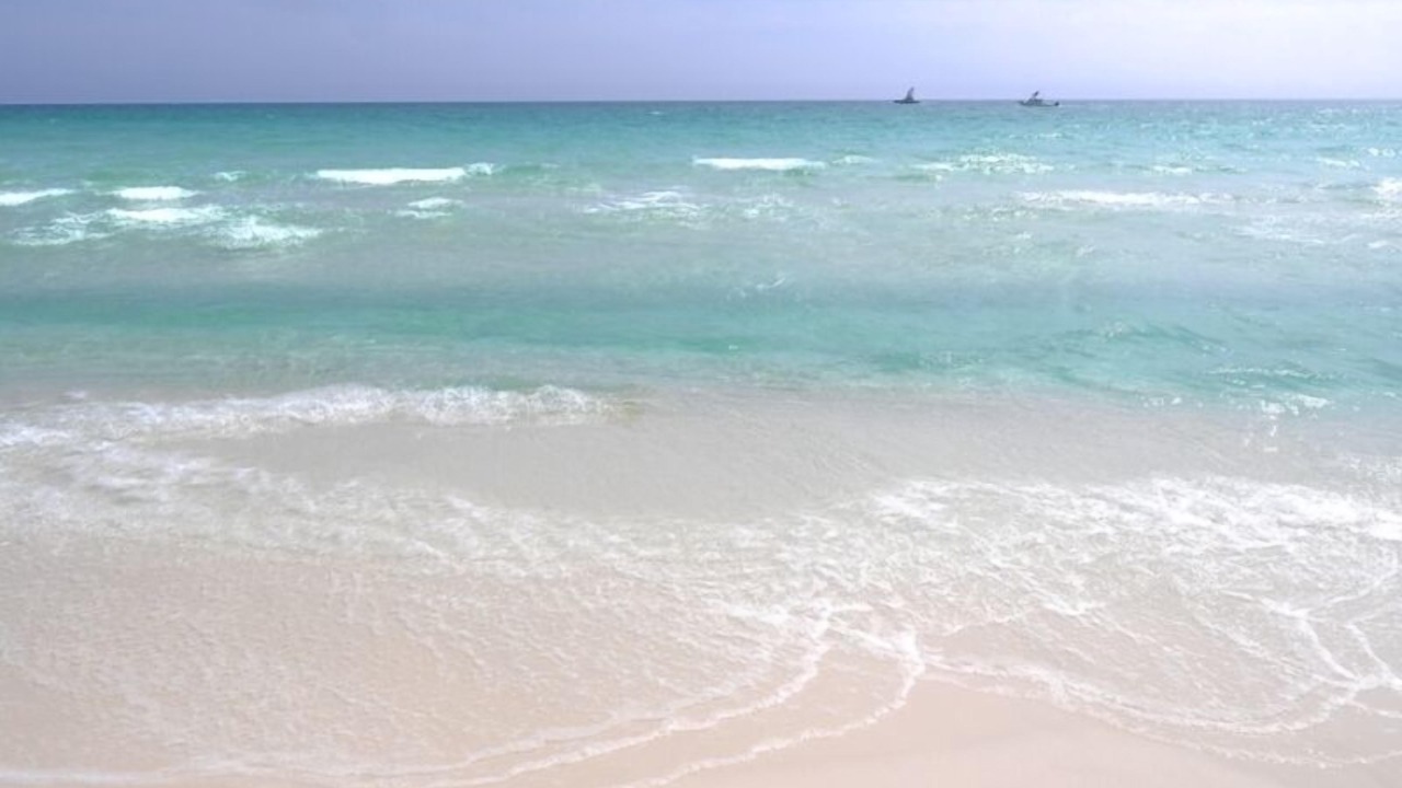 Photo of Others in Pensacola Beach