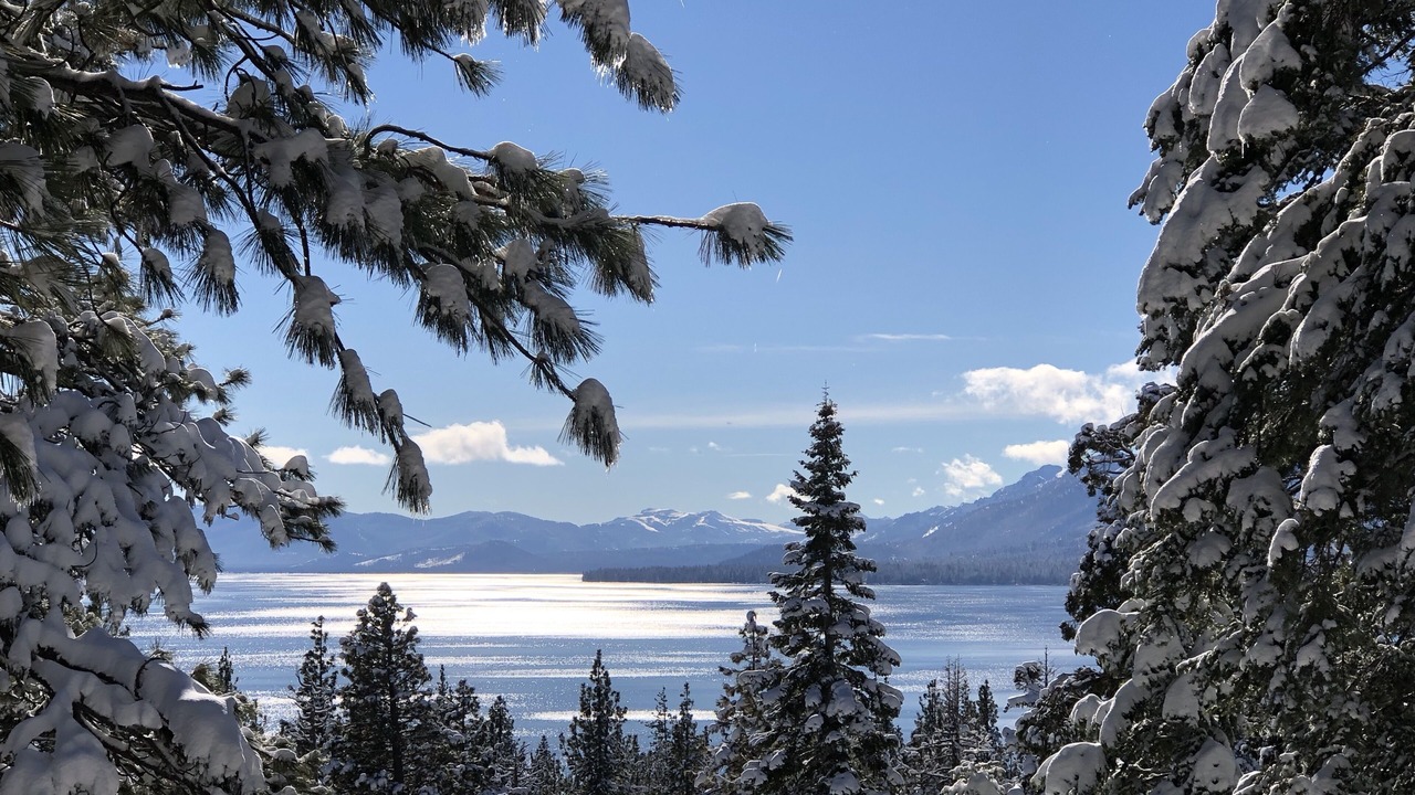 Photo of Outdoor in Tahoe Woods