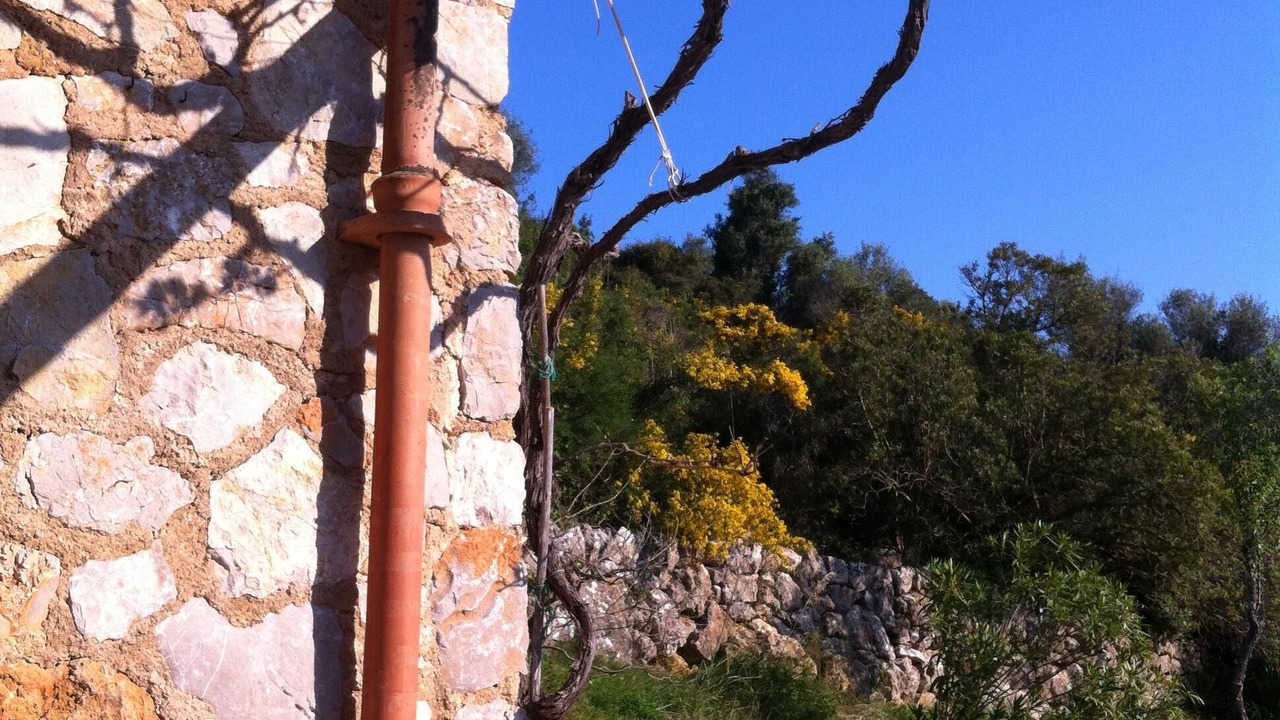 Photo of Outdoor in Arta