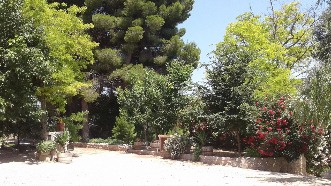 Photo of Outdoor in Nonaspe