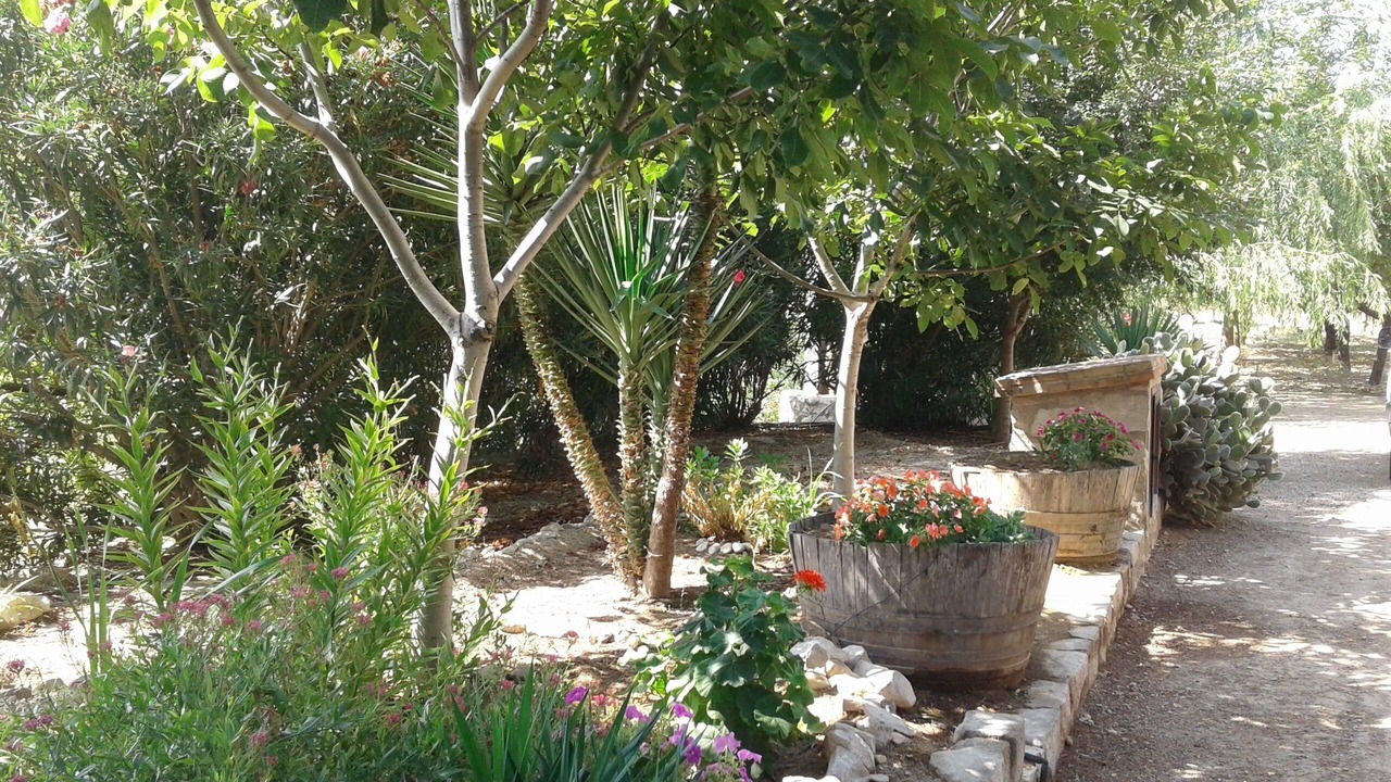 Photo of Outdoor in Nonaspe