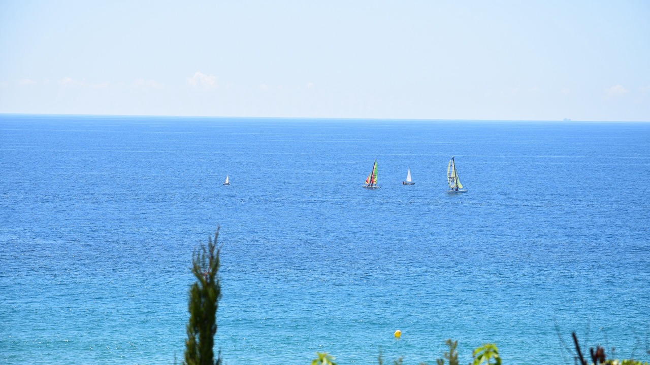 Photo of Others in Tarragona