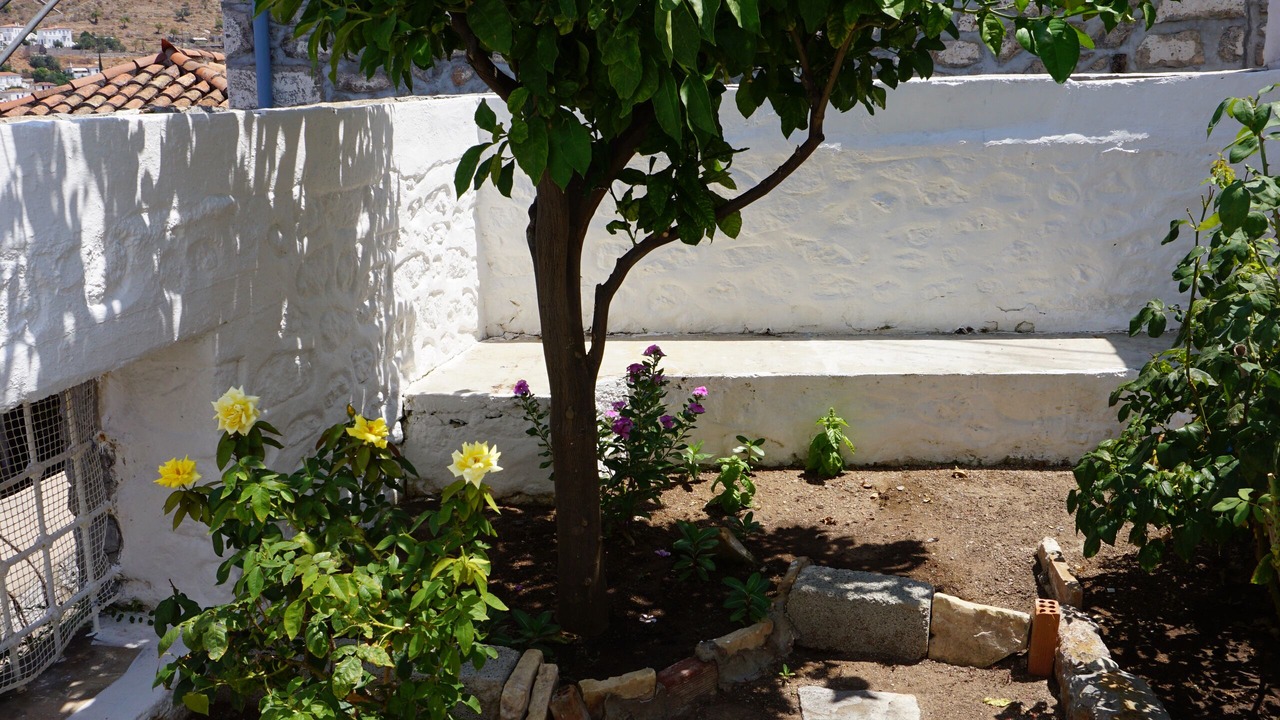 Photo of Outdoor in idhra