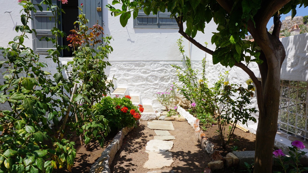 Photo of Outdoor in idhra