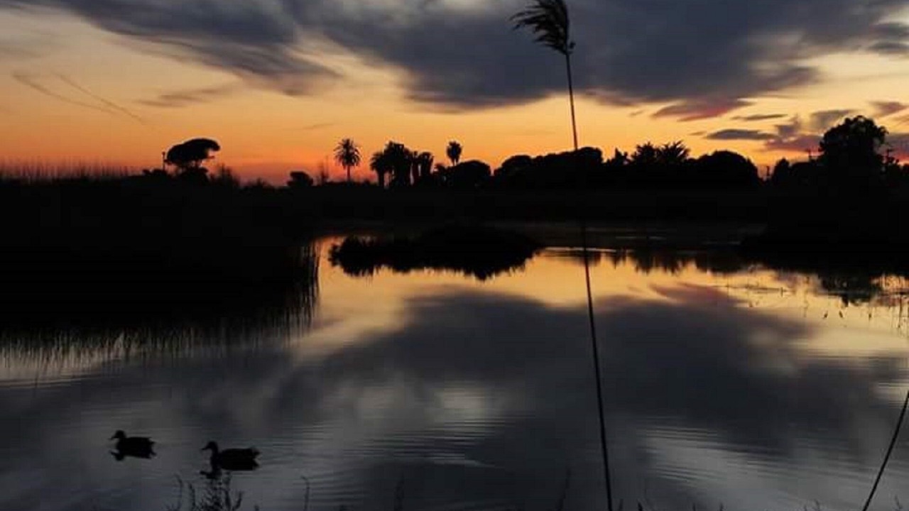 Photo of Outdoor in Creixell