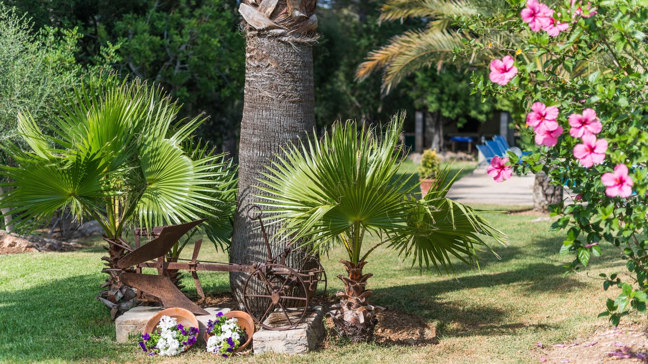 Photo of Outdoor in Campanet