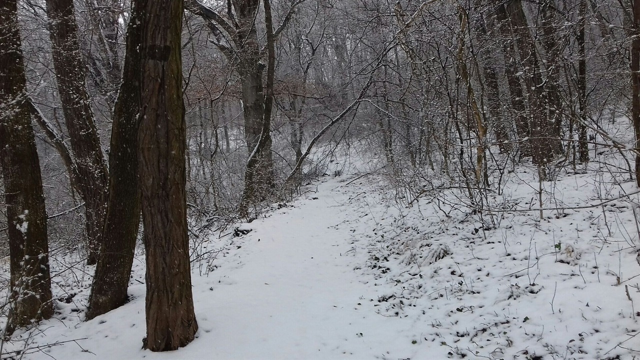 Photo of Others in Kesztolc