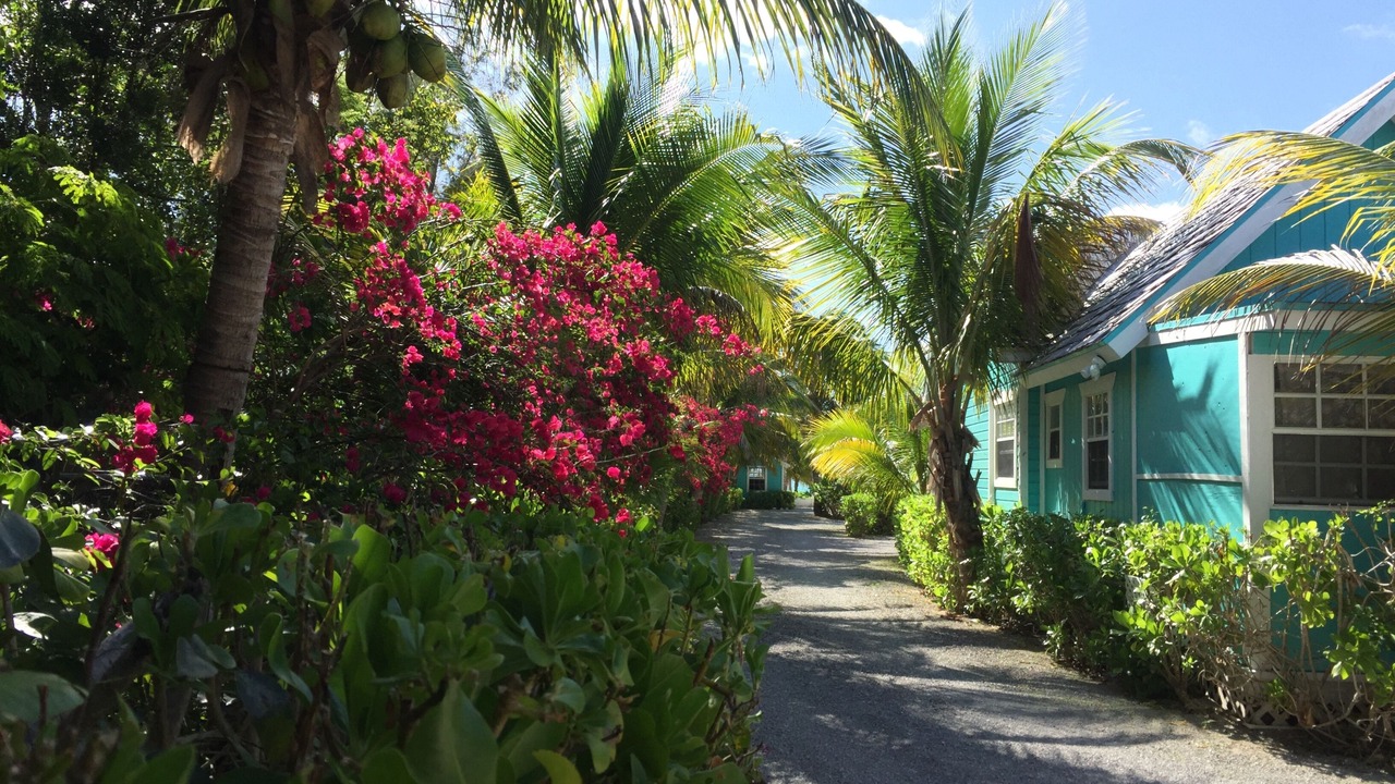 Photo of Outdoor in Mather Town