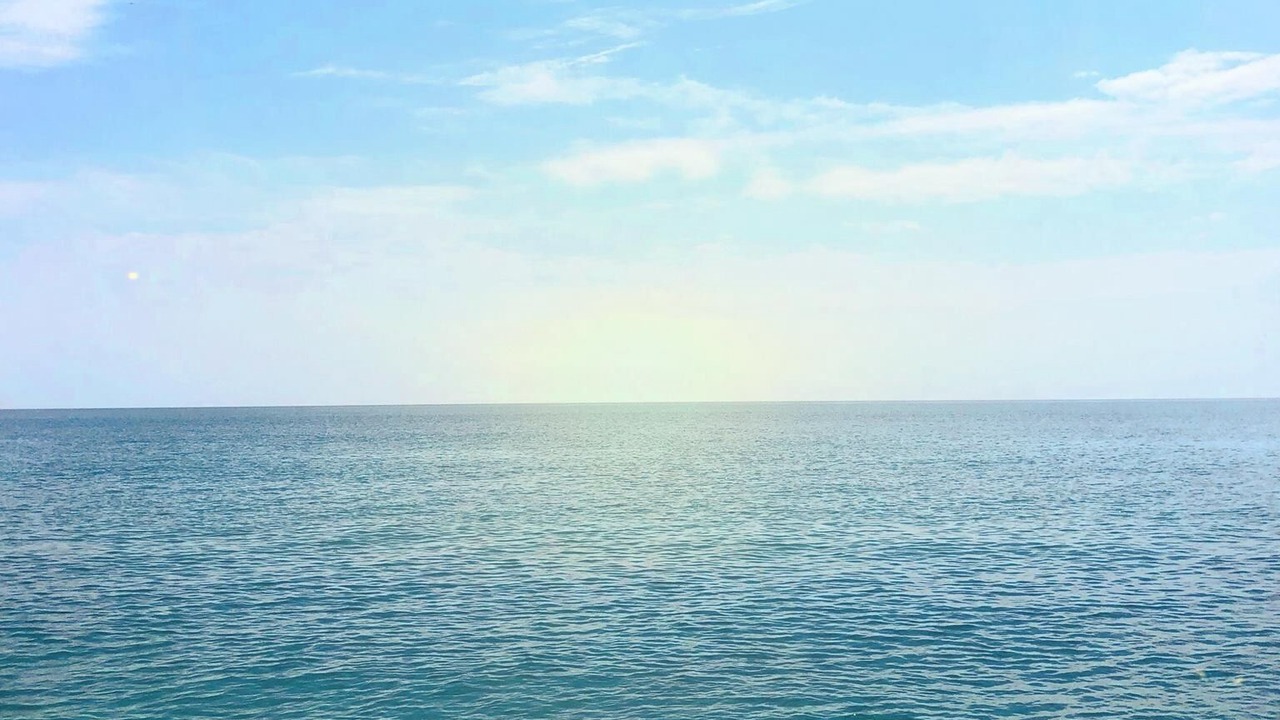 Photo of Others in Fort Pierce