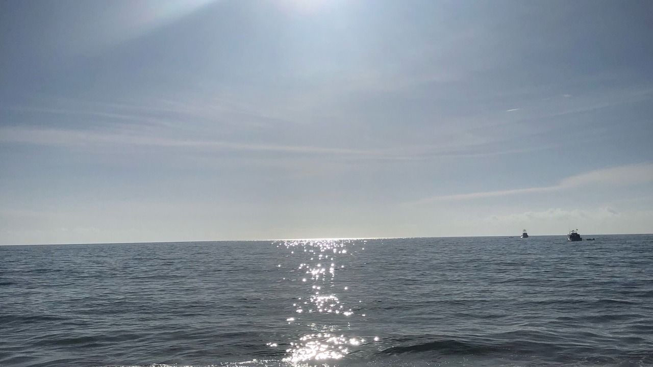 Photo of Others in Fort Pierce