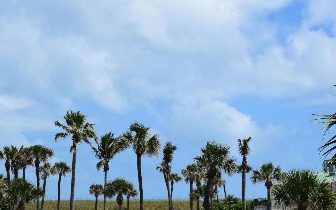 Photo of Others in Fort Pierce