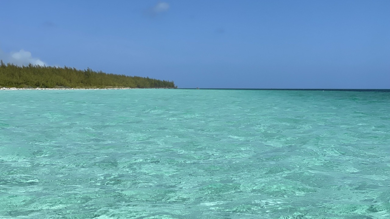 Photo of Others in South Bimini