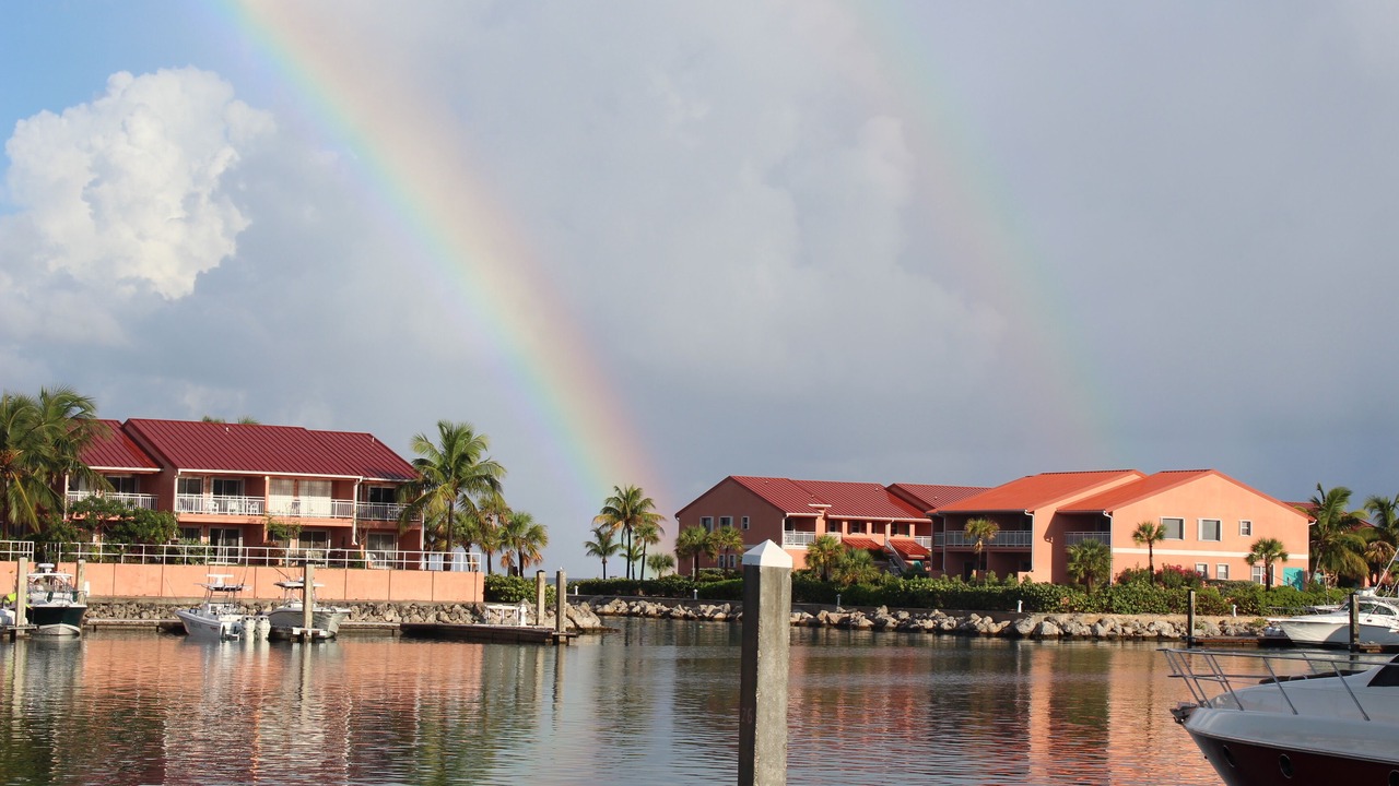 Photo of Others in South Bimini