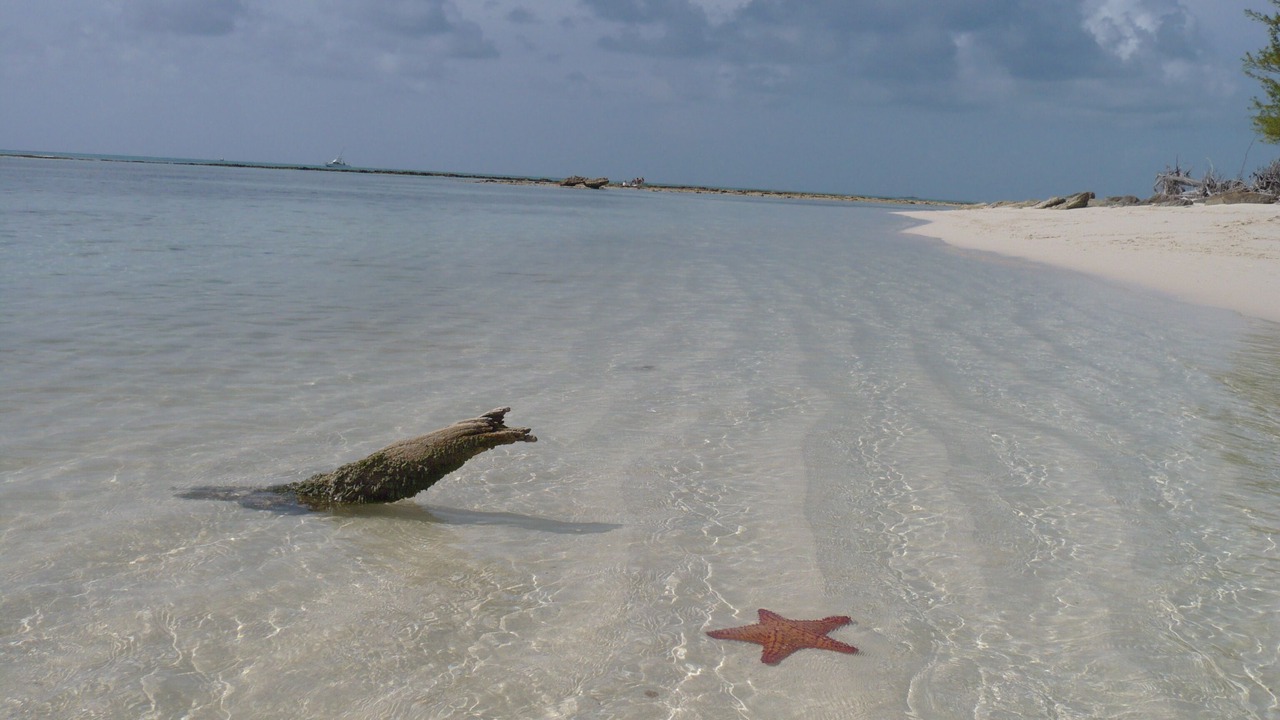 Photo of Others in South Bimini