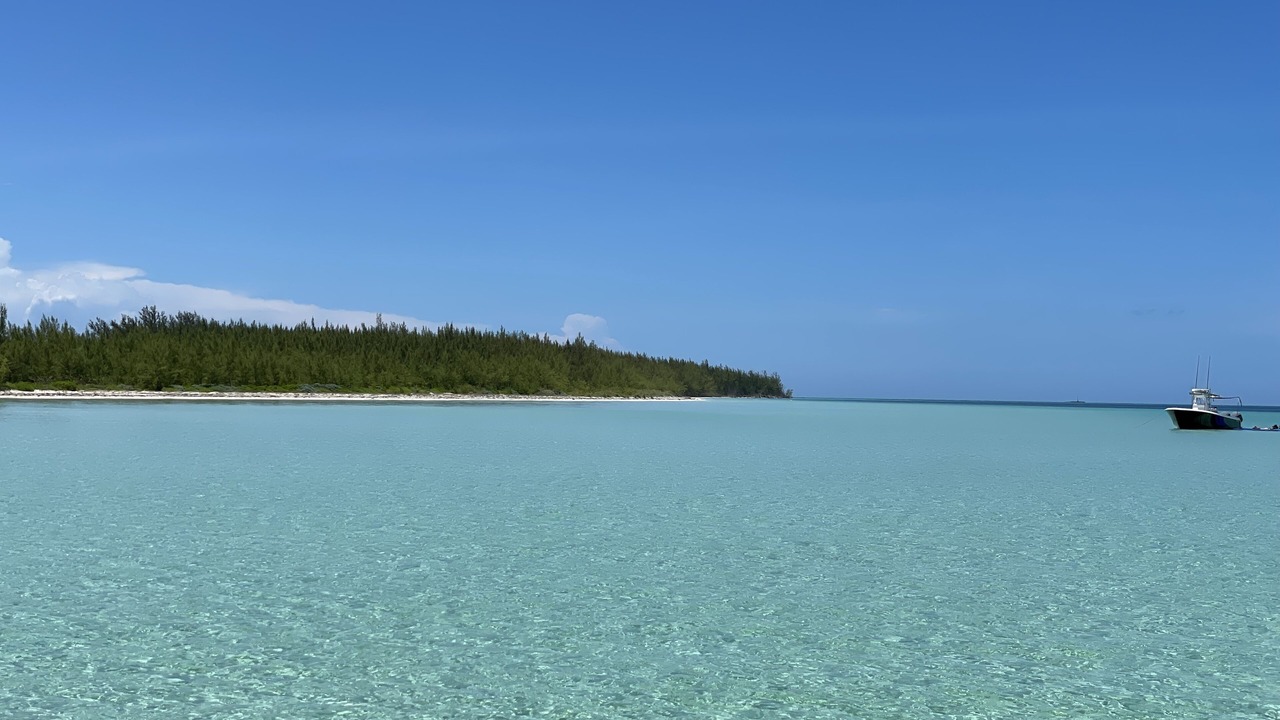 Photo of Others in South Bimini