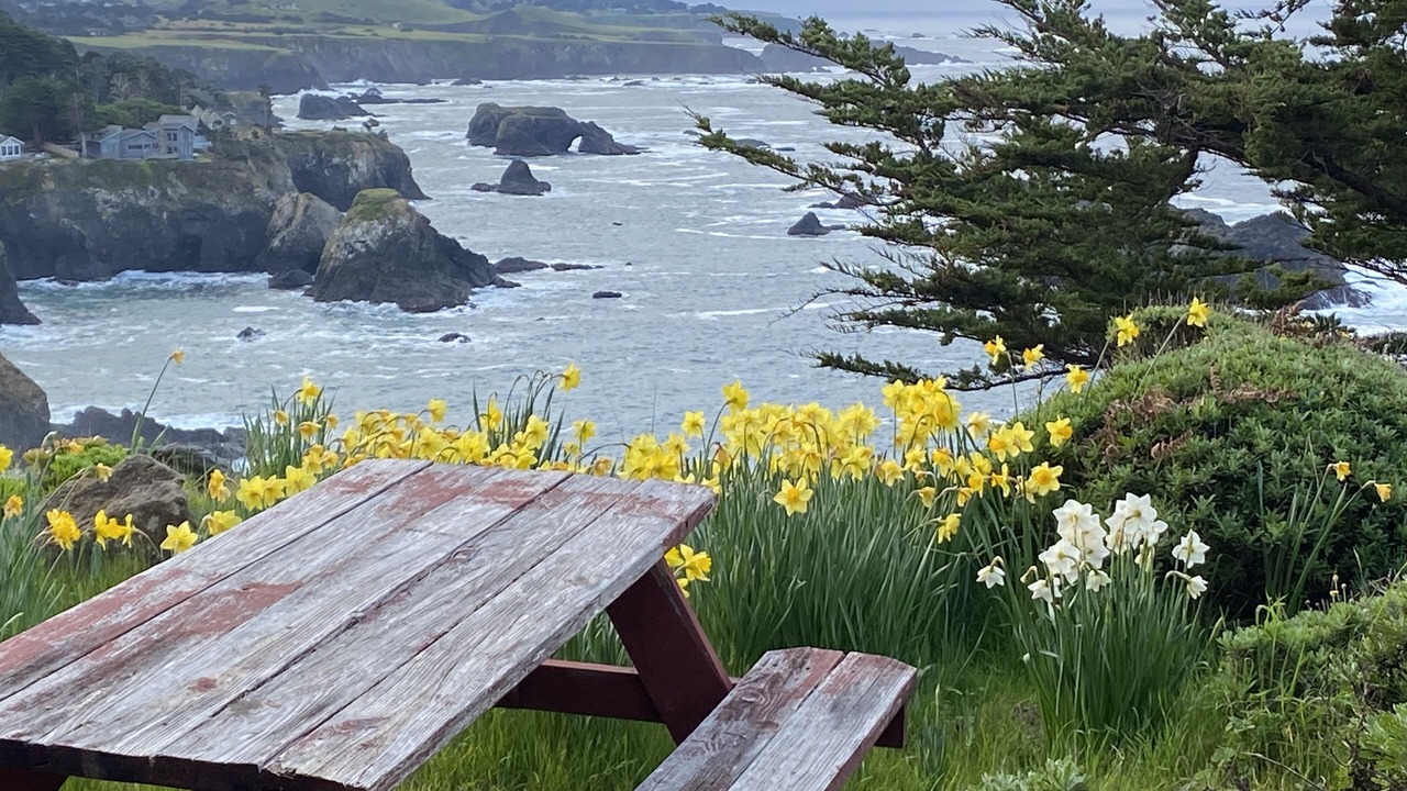 Photo of Outdoor in Little River