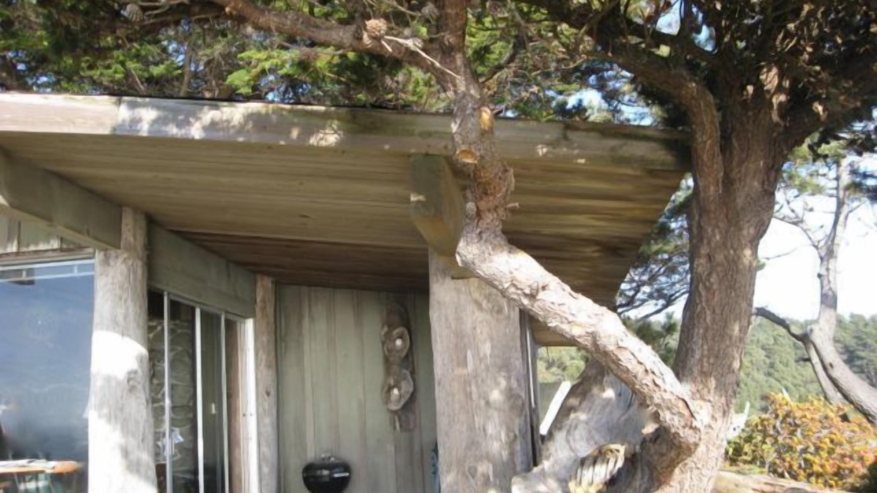Photo of Patio Balcony in Little River