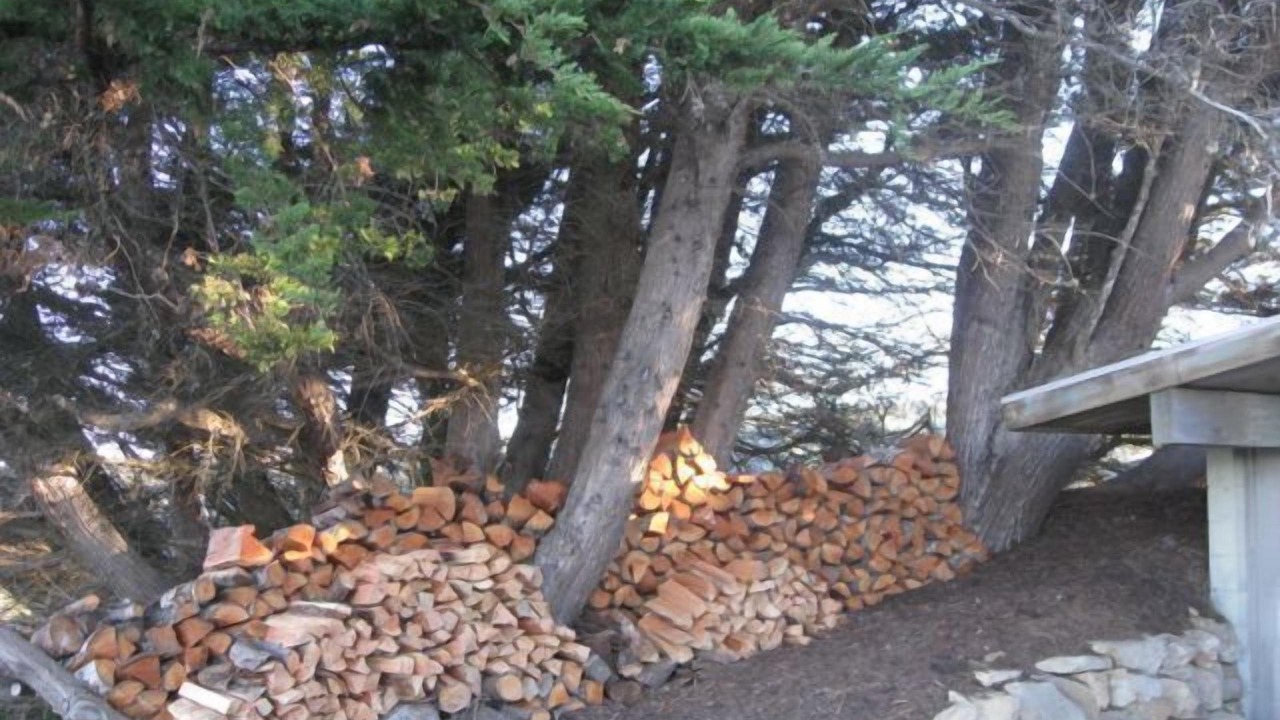 Photo of Outdoor in Little River