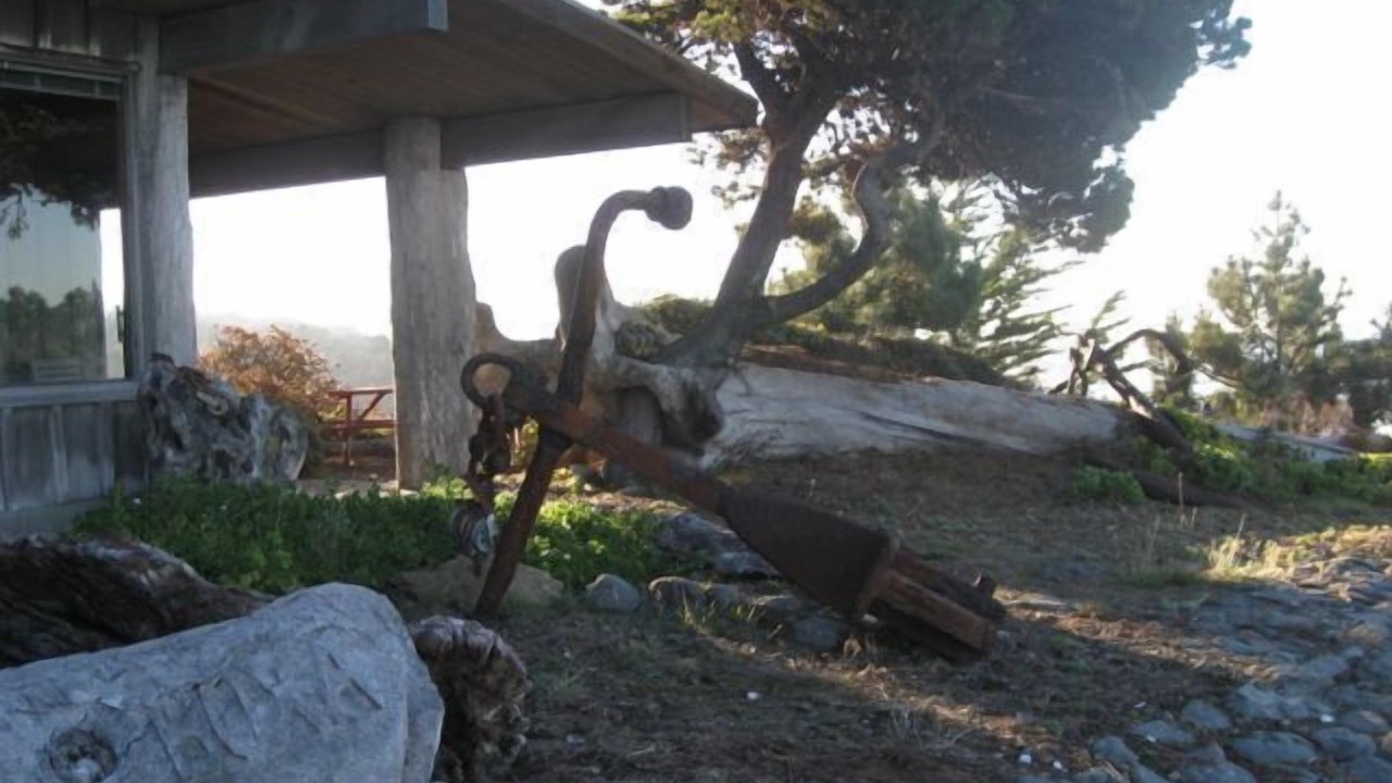 Photo of Outdoor in Little River
