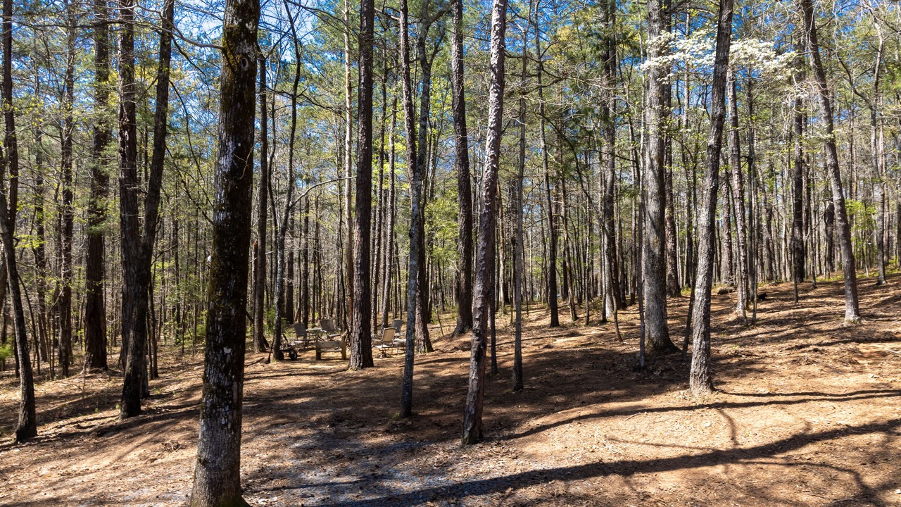 Photo of Outdoor in LaGrange