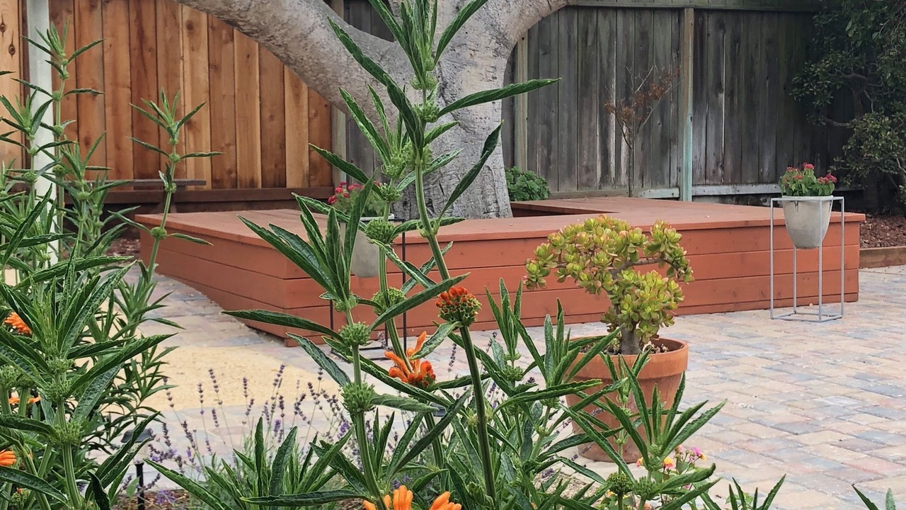 Photo of Outdoor in Seaside