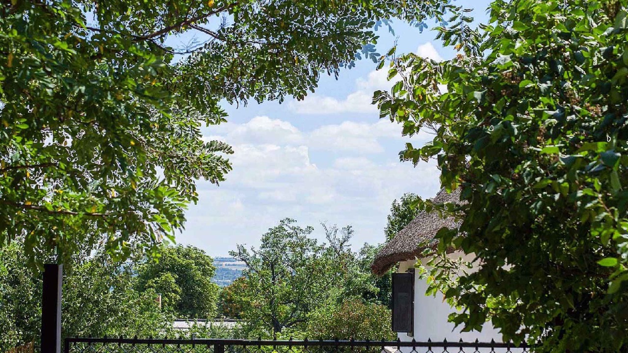 Photo of Outdoor in Sukoro