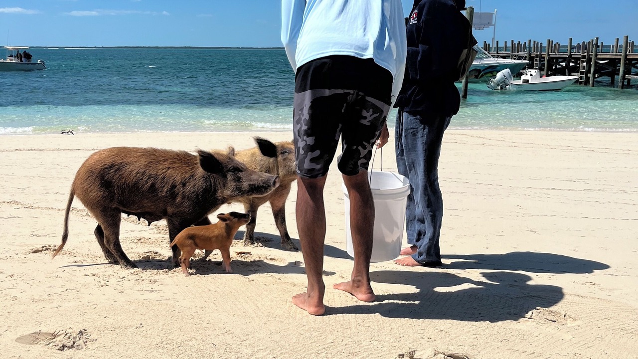 Photo of Others in Green Turtle Cay
