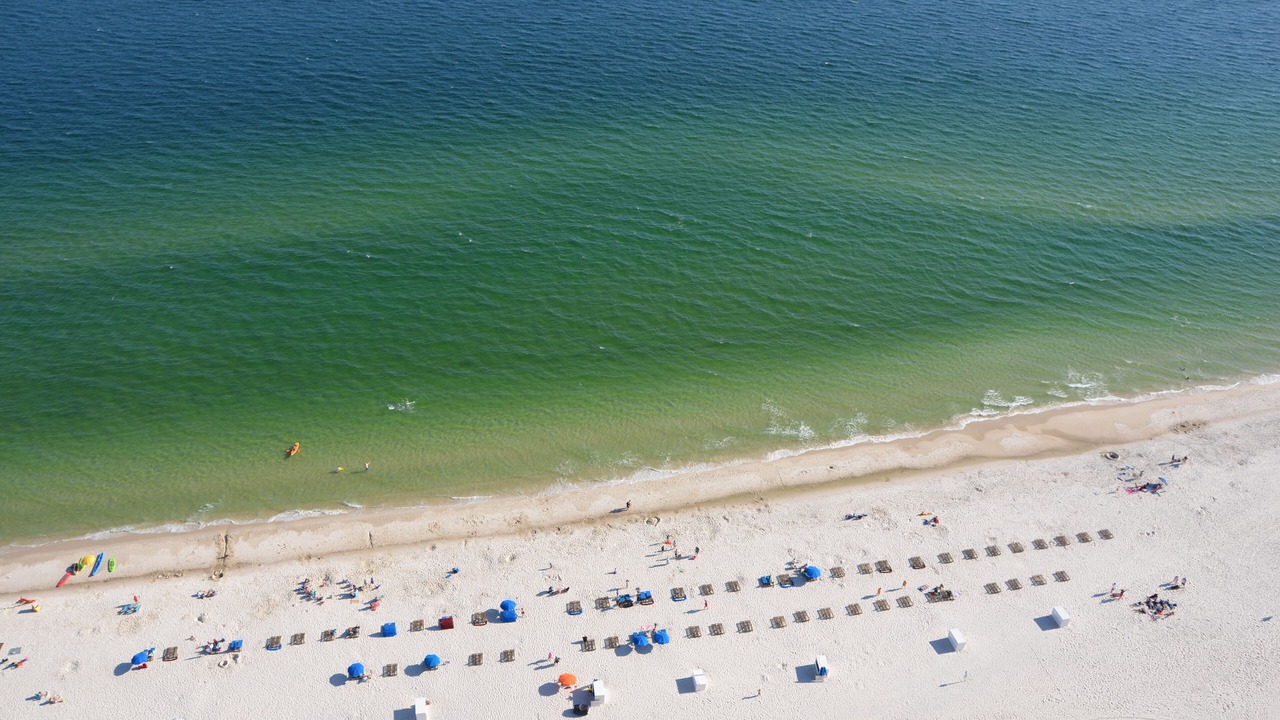 Photo of Others in Orange Beach
