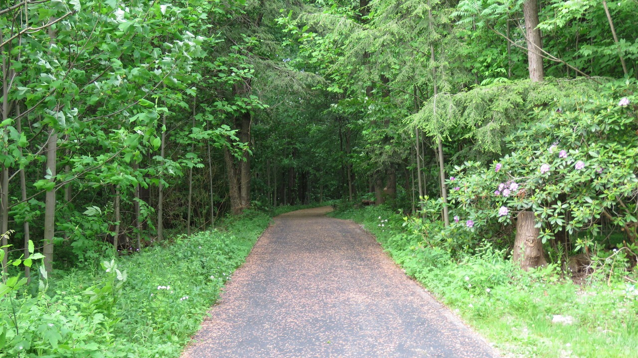 Photo of Outdoor in Fairview