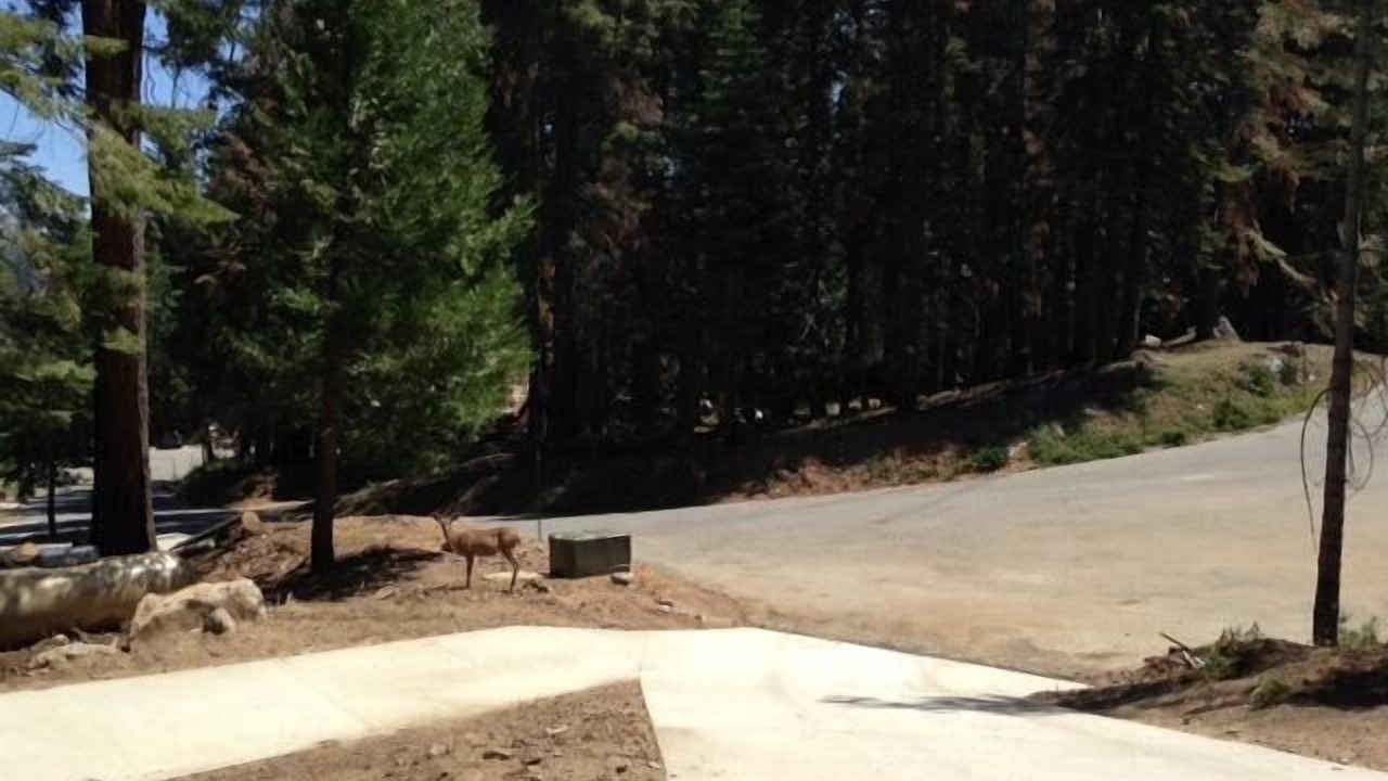 Photo of Others in Yosemite National Park