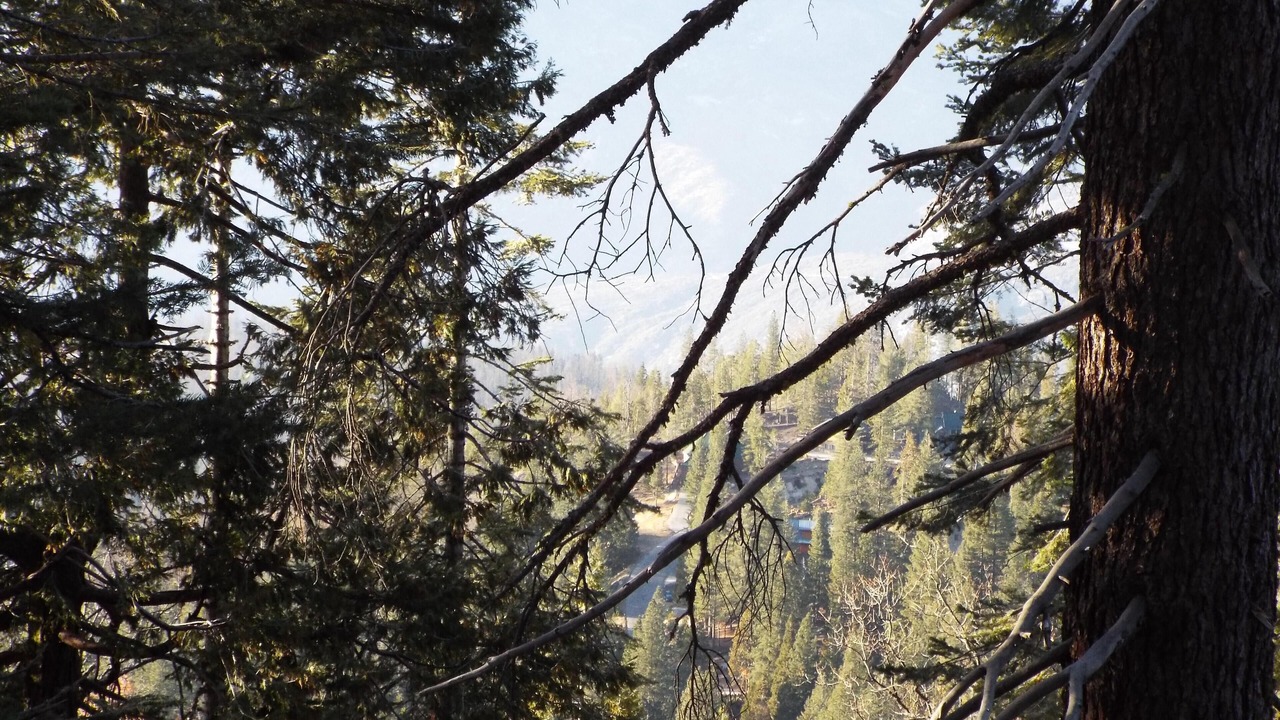 Photo of Outdoor in Yosemite National Park