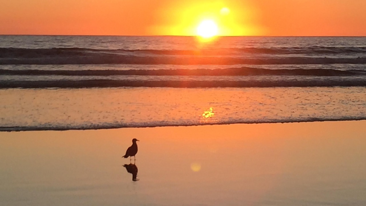Photo of Others in Stinson Beach