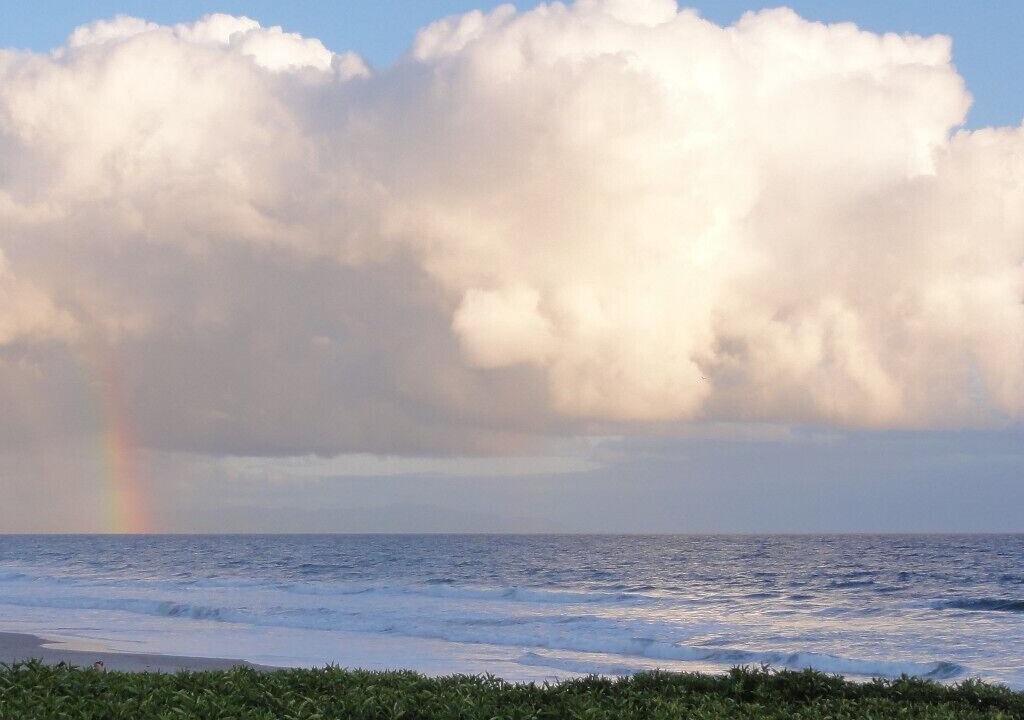 Photo of Others in Stinson Beach