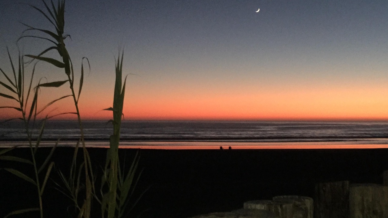 Photo of Others in Stinson Beach