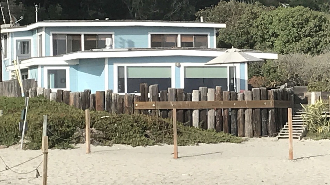 Photo of Others in Stinson Beach