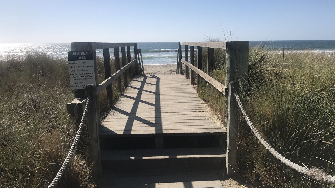 Photo of Others in Pajaro Dunes