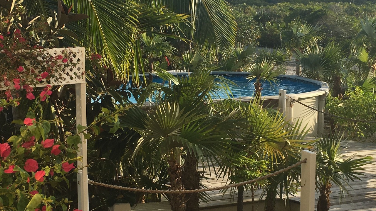 Photo of Outdoor in William's Town