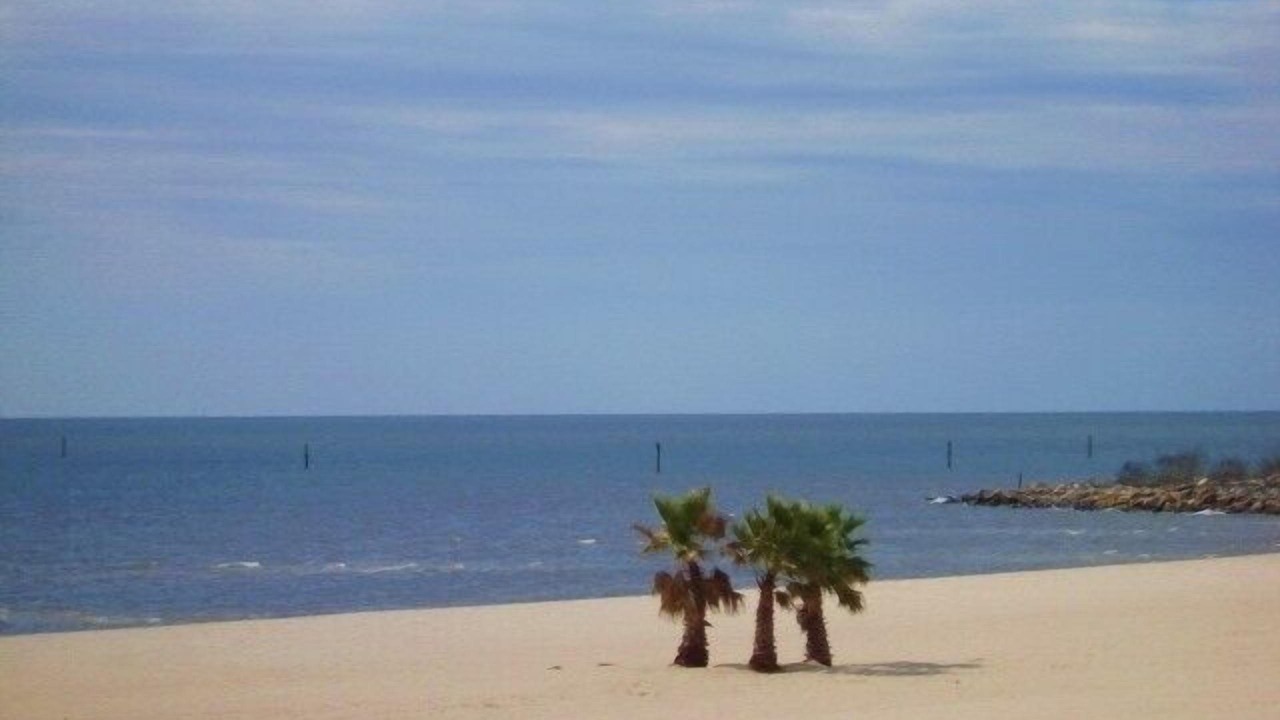 Photo of Others in Biloxi