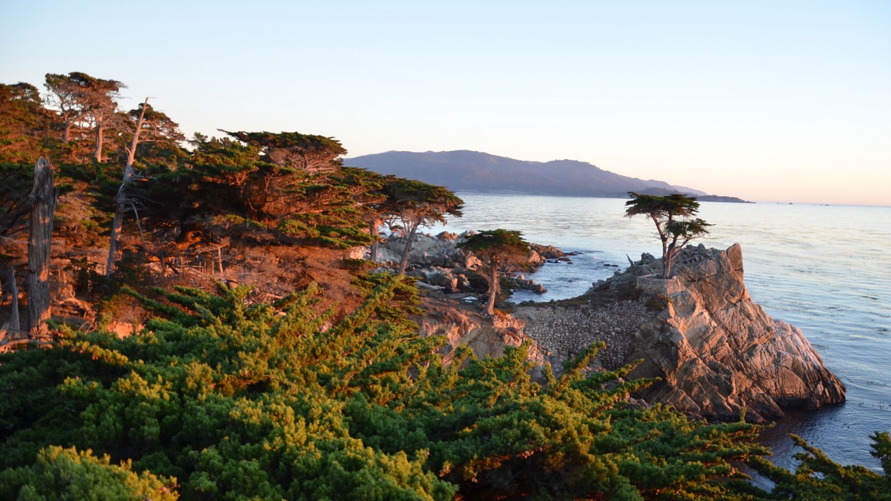 Photo of Others in Pebble Beach
