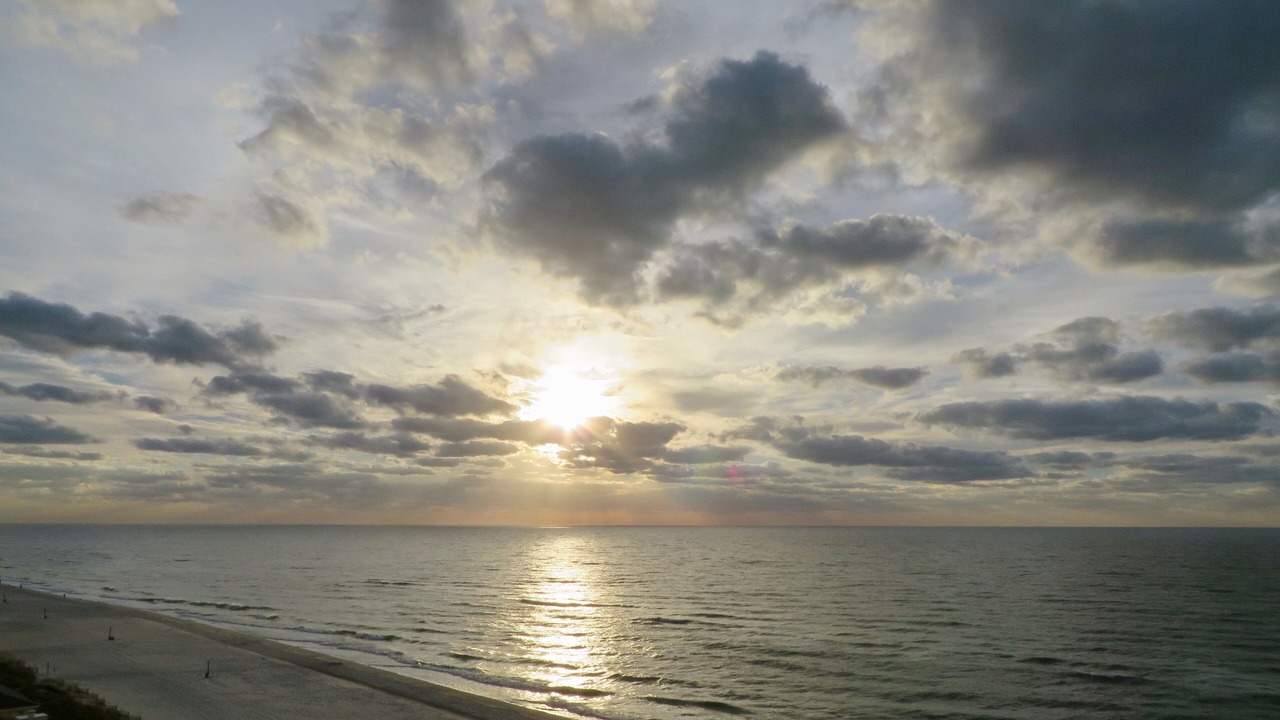 Photo of Others in Gulf Shores