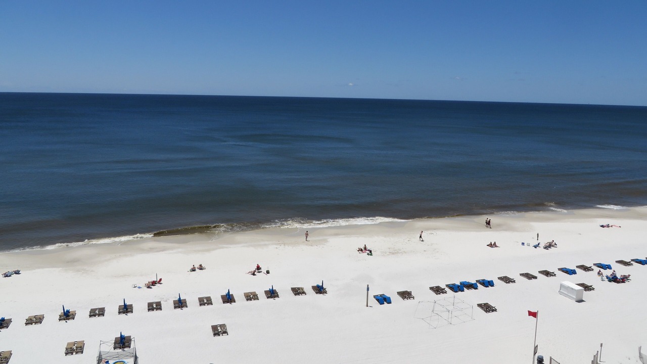 Photo of Others in Gulf Shores