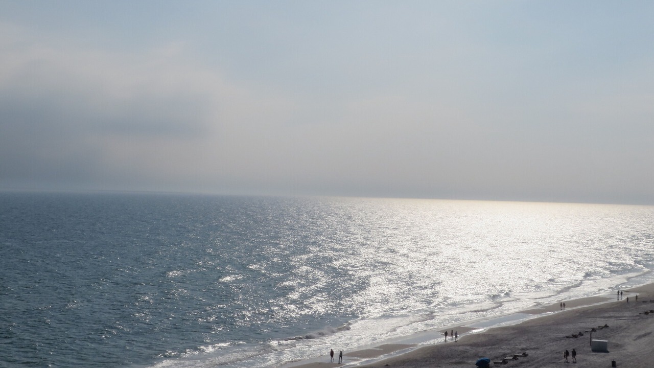 Photo of Others in Gulf Shores