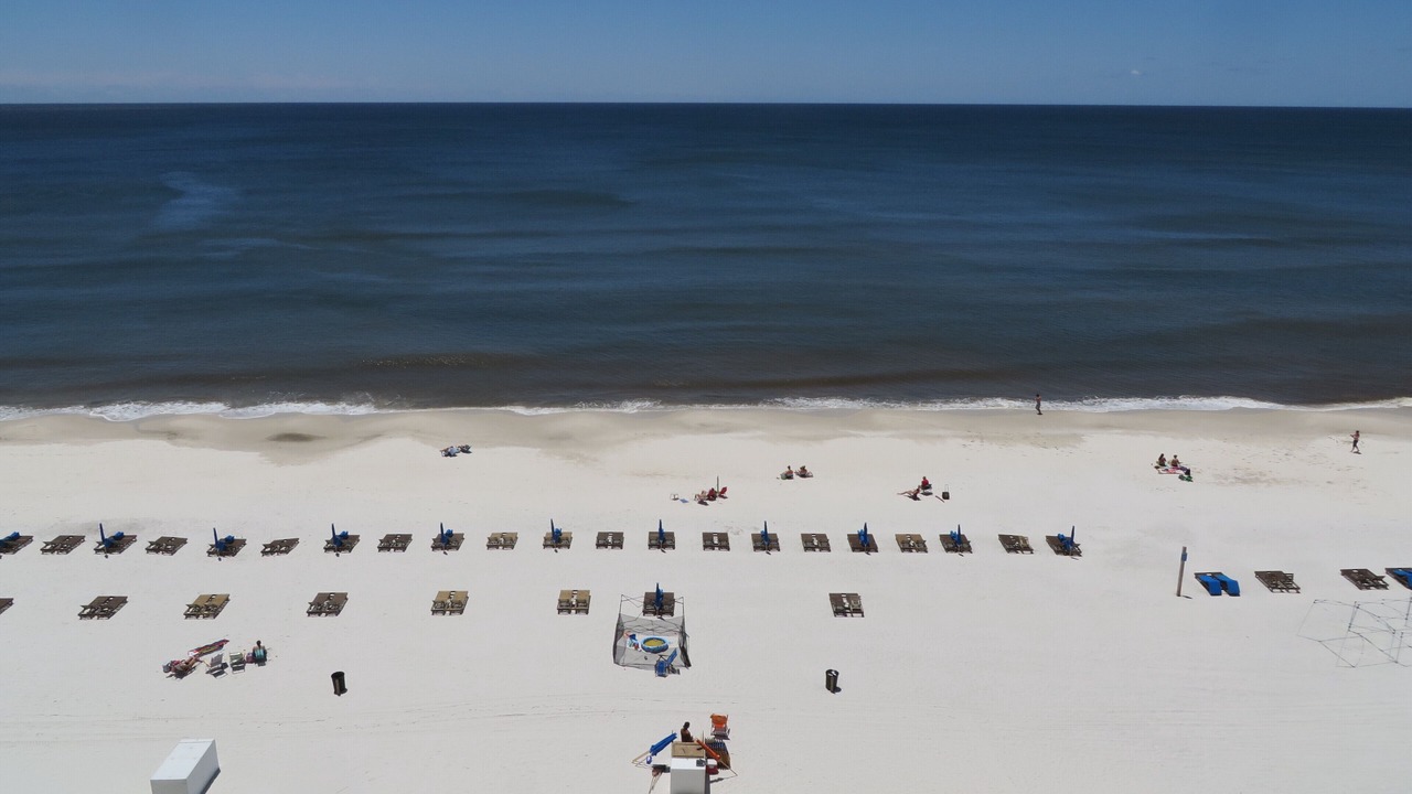 Photo of Others in Gulf Shores