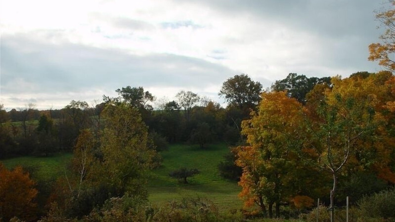 Photo of Others in Craryville