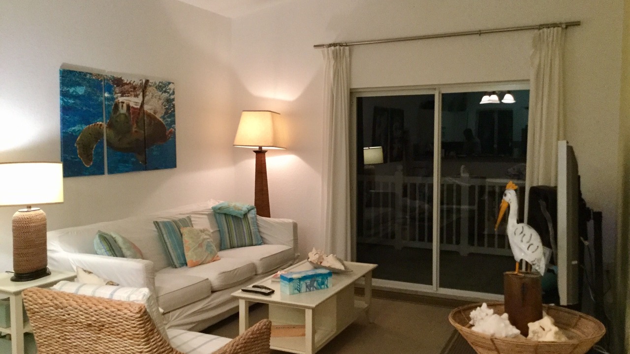 Photo of Livingroom in Alice Town
