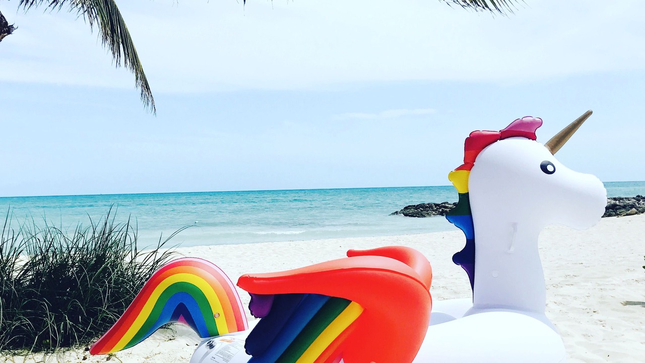 Photo of Others in Palm Cay