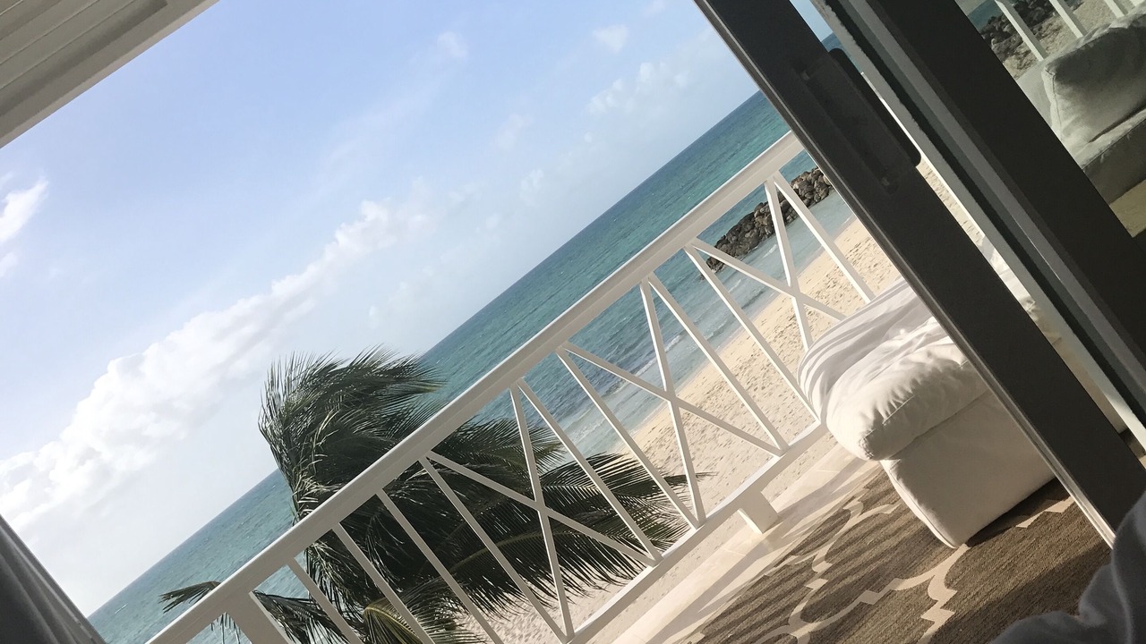 Photo of Others in Palm Cay