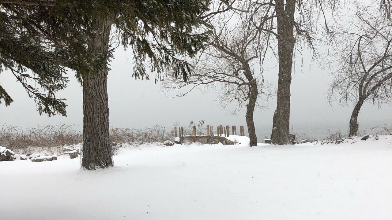 Photo of Outdoor in Lansing
